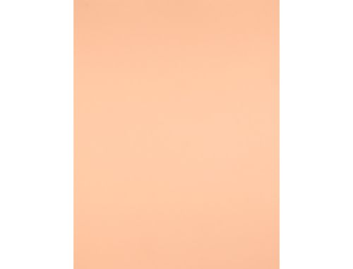 Cartolina liderpapel 50x65 cm 180 gr sepia , Liderpapel , 28301 , 8423473283015